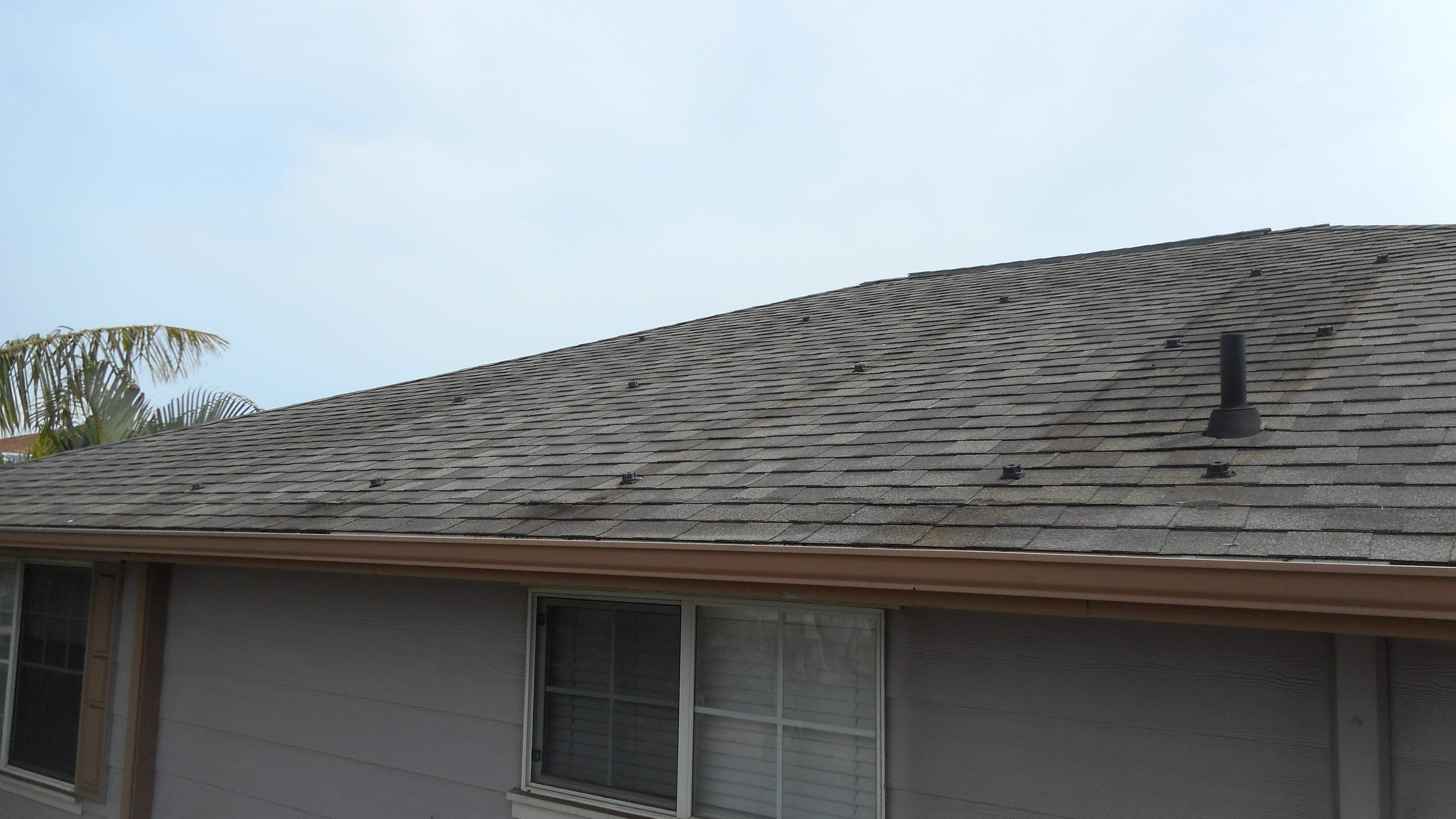 Estwing roofing hatchet