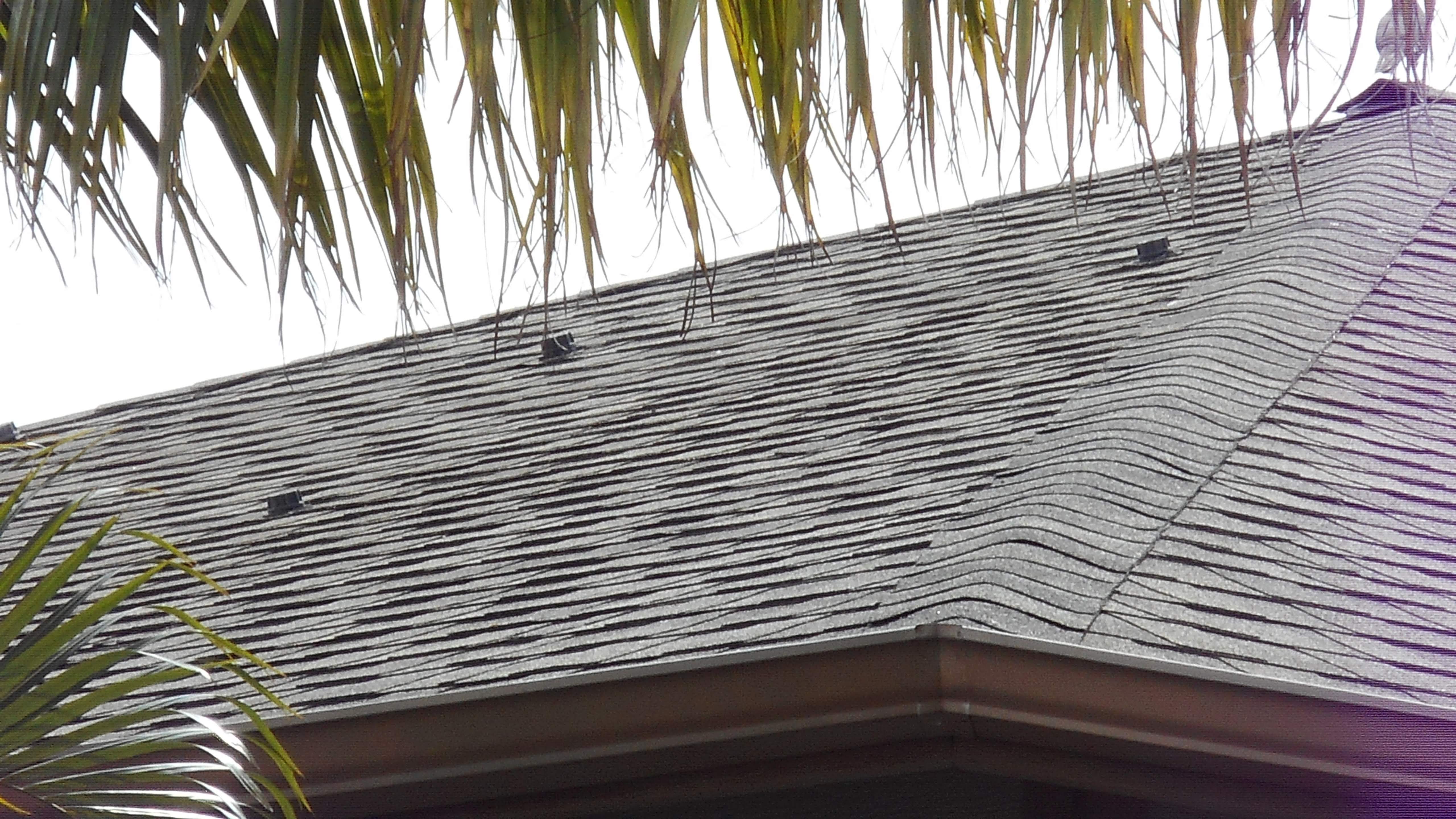 Roofing fall protection harness