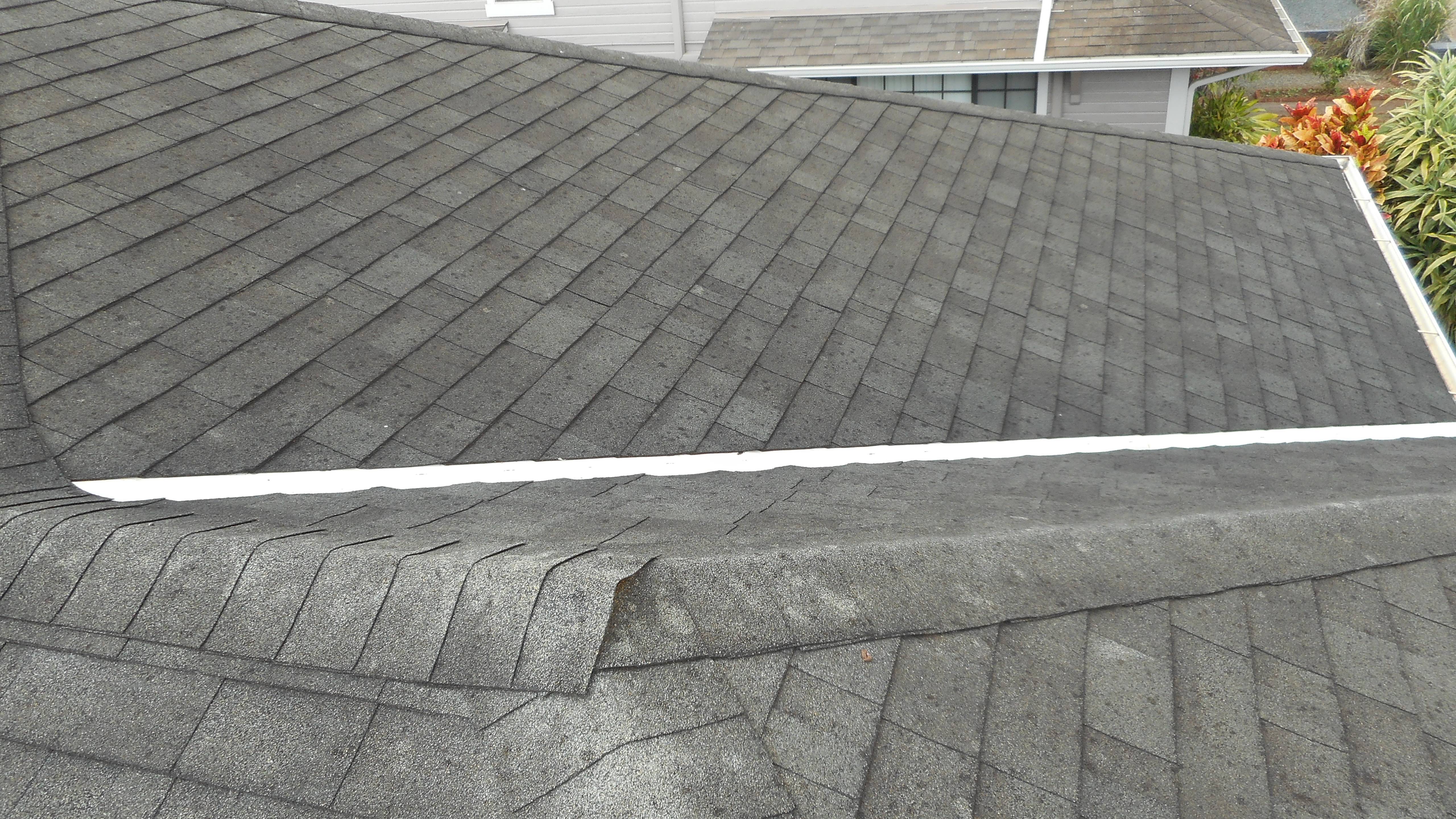 Cougar Paws roofing shoes