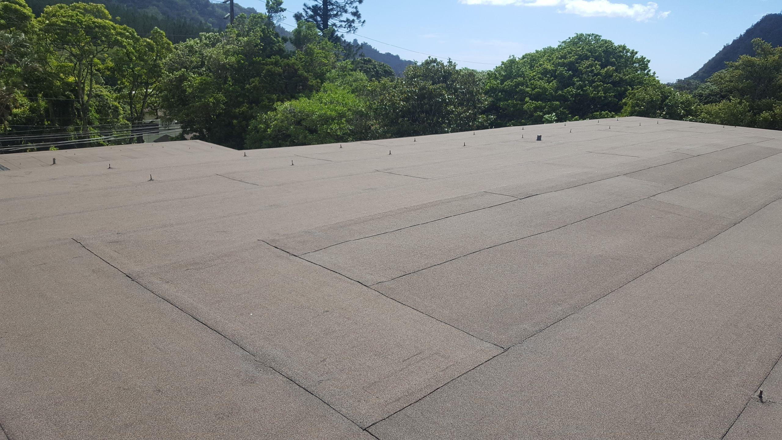 Magnetic nail sweeper